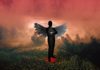 devil's Advocate Christianity Truth Argument