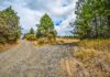 fork in the road Jesus radical claims decision