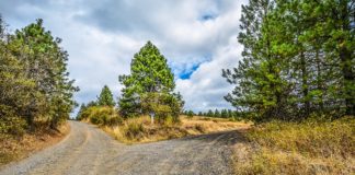 fork in the road Jesus radical claims decision