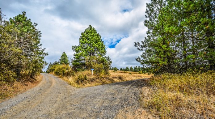 fork in the road Jesus radical claims decision